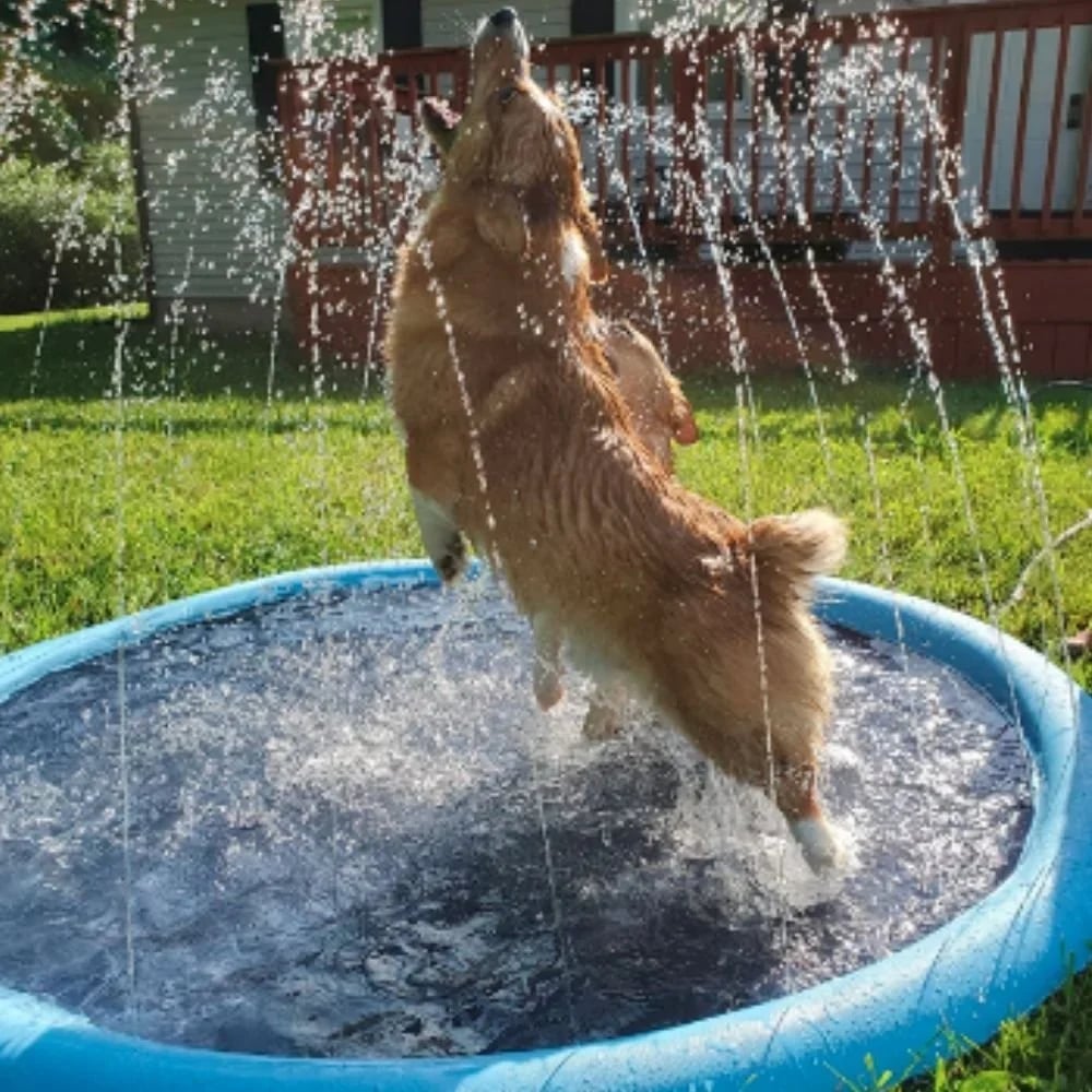 🐶Foldable Dog Swimming Pool with Water Sprayer – Cooling Paddling Mat for Garden, Patio & Summer Play Days