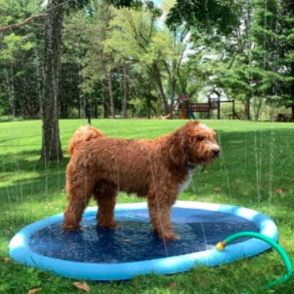 🐶Foldable Dog Swimming Pool with Water Sprayer – Cooling Paddling Mat for Garden, Patio & Summer Play Days